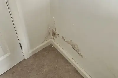 Rising Damp Treatments Sunderland, Durham & Wearside