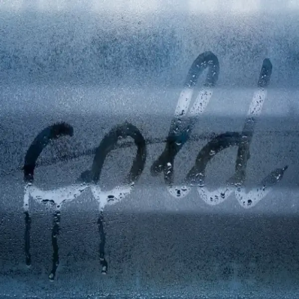 Condensation on cold window