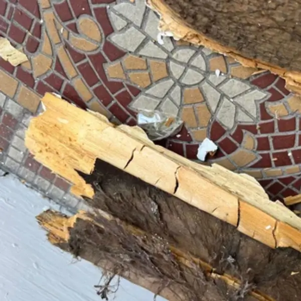 Cracked, brittle wood is a sign of dry rot