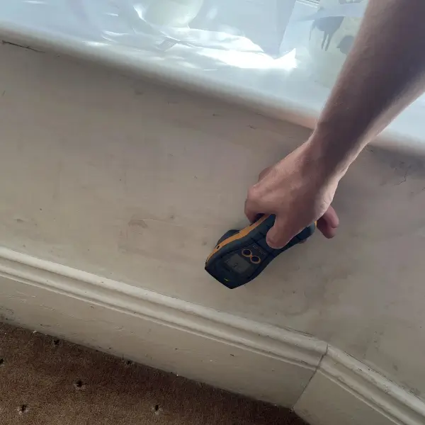 Our Surveyors will check the moisture levels in your home