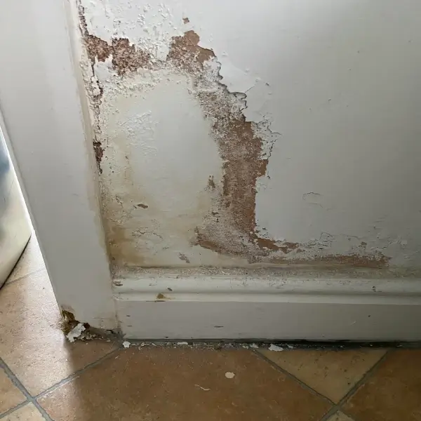 Salt deposits showing and paint coming off wall due to rising damp