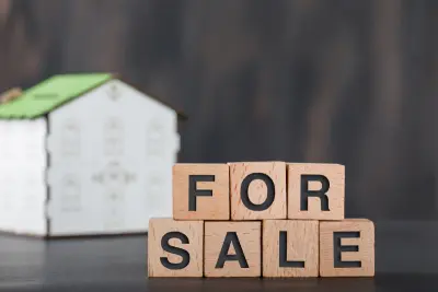 Pre-purchase Damp & Timber Mortgage Reports Sunderland, Durham & Wearside