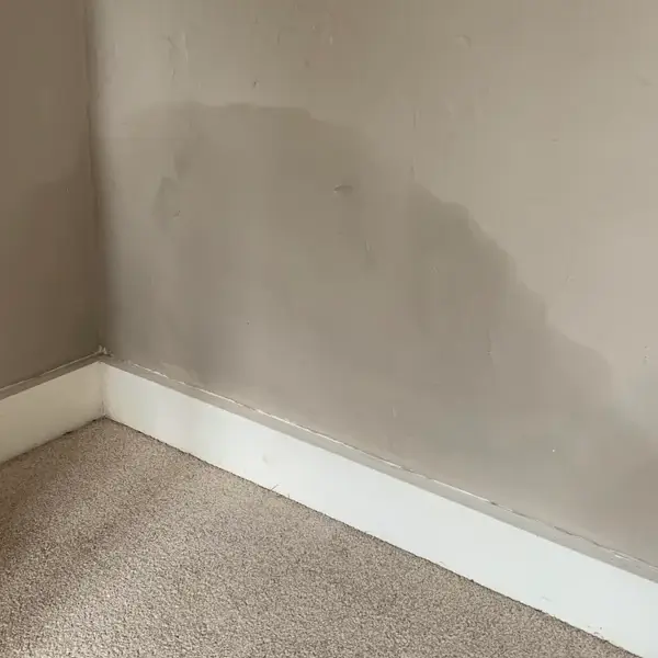 Visible damp patches on wall caused by rising damp