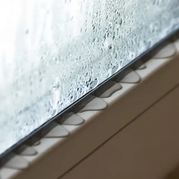 Water forming on window sills is a sign of condensation related damp