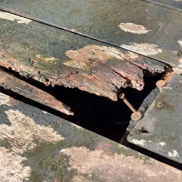 Wet rot can cause damage to floor boards and joists if leat unchecked