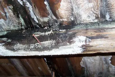 Wet Rot Treatments Sunderland, Durham & Wearside