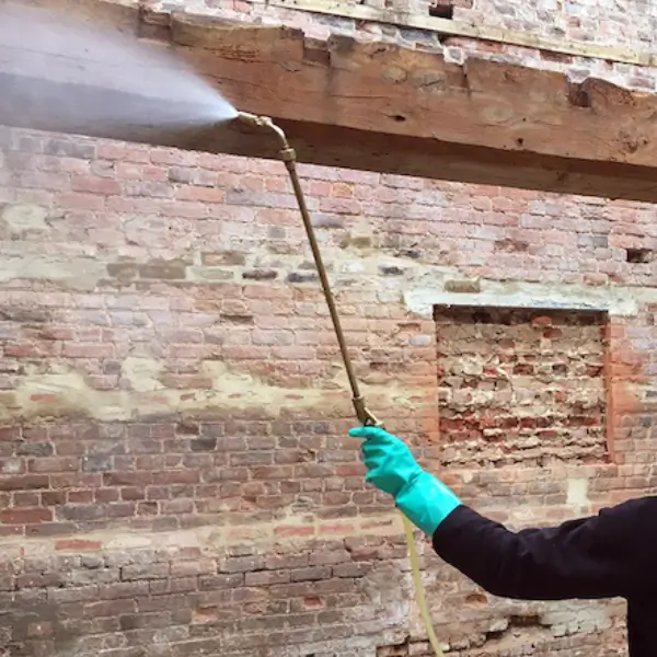 Woodworm usually requires targeted, professional treatment